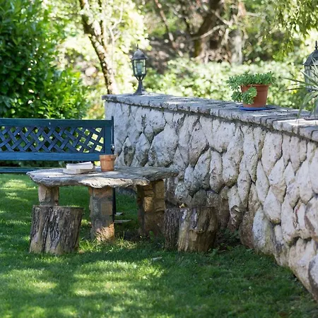 Oasis