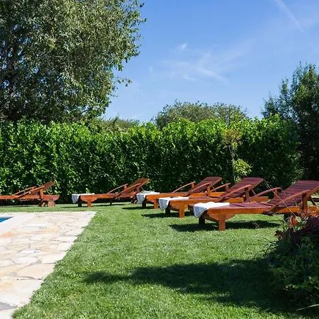 Villa Oasis Gornji Prolozac